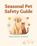 Seasonal Pet Safety Guide digital guide cover