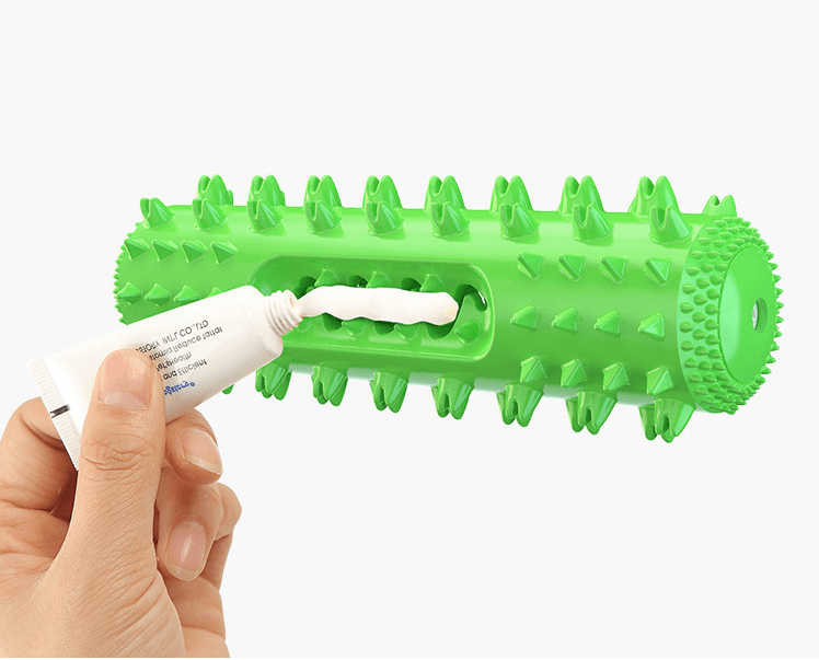 Dog Dental Toothbrush Chew Toy