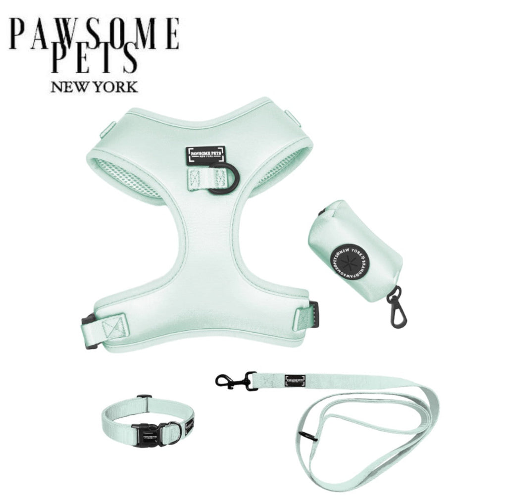 Mint green complete pet walking bundle showing step-in harness, adjustable collar, leash, and waste bag holder — 5-piece matching set by Pawsome Pets New York