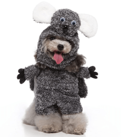 Cartoon Cosplay Pet Costume Set — 40+ Character Choices