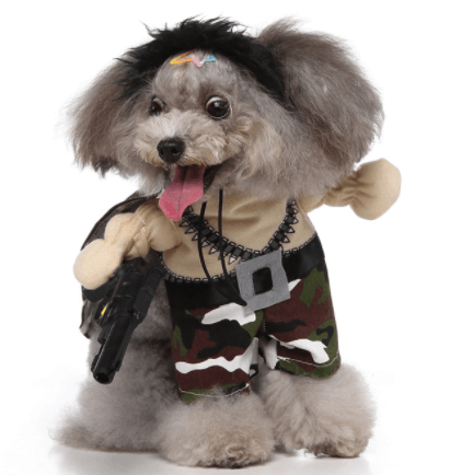 Cartoon Cosplay Pet Costume Set — 40+ Character Choices