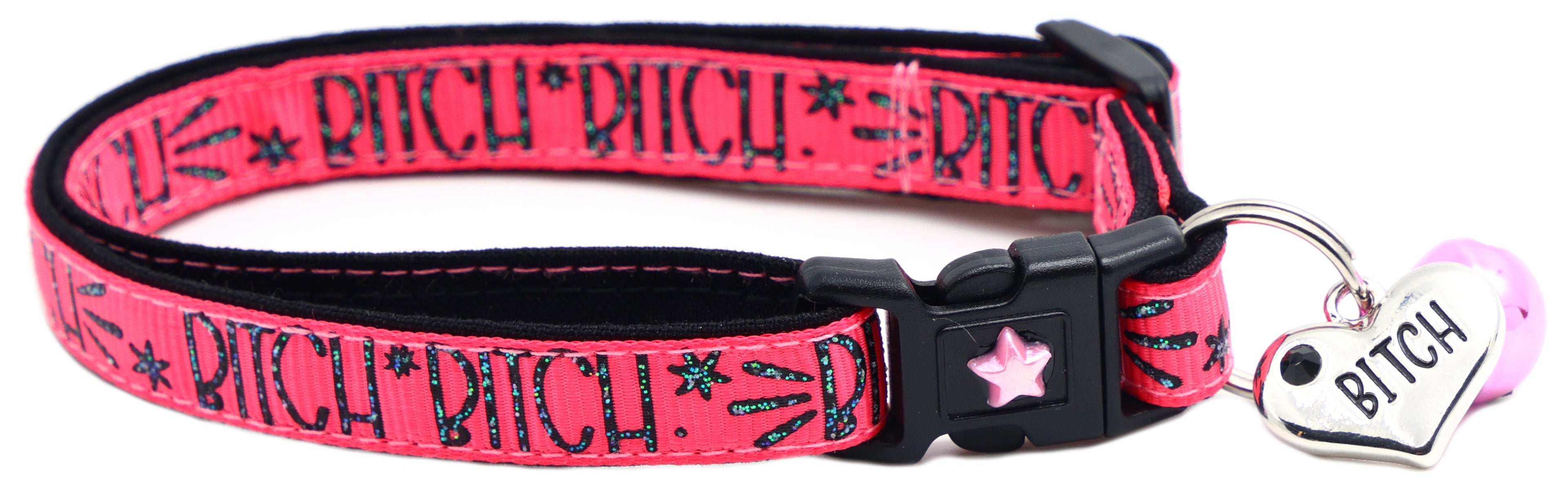 Sassy & Bold Breakaway Cat Collar