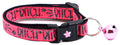 Sassy & Bold Breakaway Cat Collar