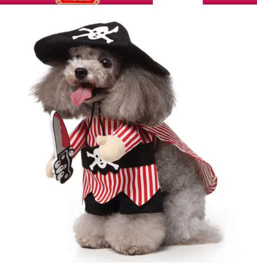 Cartoon Cosplay Pet Costume Set — 40+ Character Choices