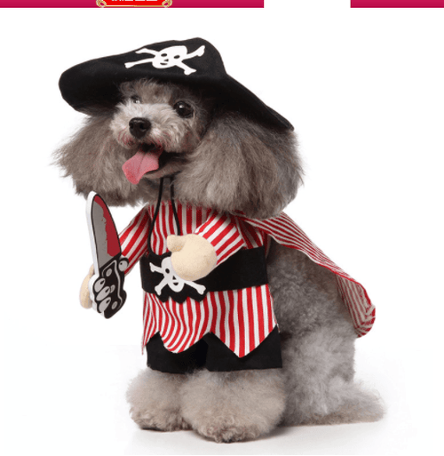 Cartoon Cosplay Pet Costume Set — 40+ Character Choices