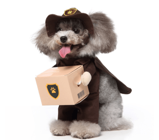 Cartoon Cosplay Pet Costume Set — 40+ Character Choices