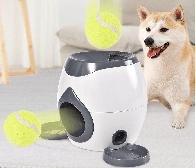 Smart Automatic Pet Feeder & Training System