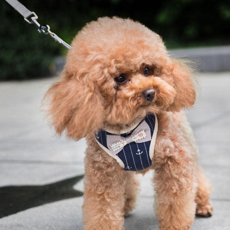 Lightweight Breathable Mesh Pet Leash — Multiple Colors