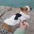 Cozy Plush Bow Dog Coat — Runway Style