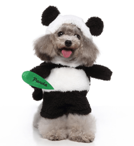 Cartoon Cosplay Pet Costume Set — 40+ Character Choices
