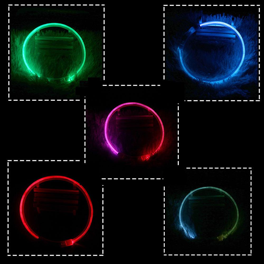 USB Rechargeable LED Glow Dog Collar — 3 Light Modes