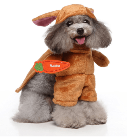 Cartoon Cosplay Pet Costume Set — 40+ Character Choices