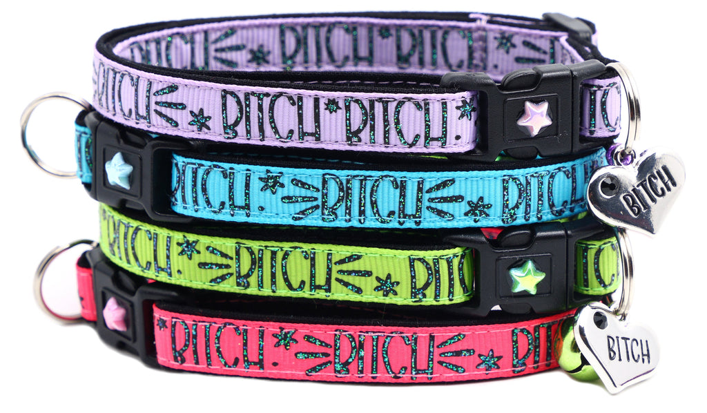 Sassy & Bold Breakaway Cat Collar
